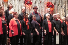 Konzert-Music-was-my-first-love-MGV-Concordia-Cantiamo-Detail